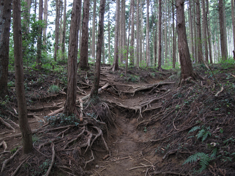 20161014hike (127)